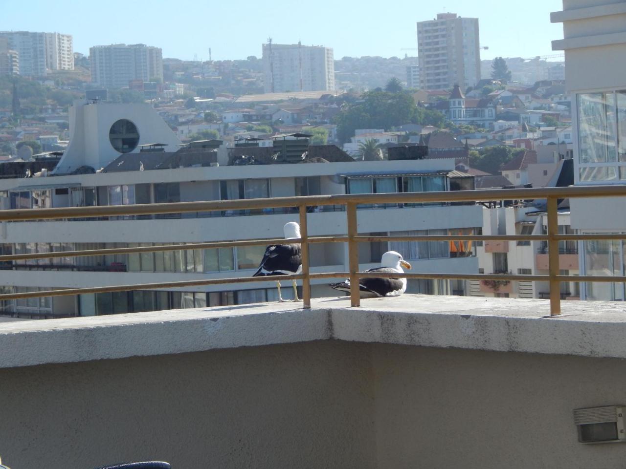 1201 Departamento Vs Centro Vina Daire Vina del Mar Dış mekan fotoğraf